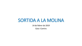 SORTIDA A LA MOLINA
14 de febrer de 2019
Gaia i Camins
 