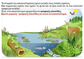 Τα στοιχεία του οικοσυστήματος έχουν μεταξύ τους πολλές σχέσεις.
Μια σημαντική σχέση που έχουν τα φυτά και τα ζώα είναι ότι το ένα αποτελεί
τροφή για το άλλο.
Έτσι, στο οικοσύστημα σχηματίζονται τροφικές αλυσίδες.
Βρείτε μερικές τροφικές αλυσίδες σε αυτό το οικοσύστημα.
 