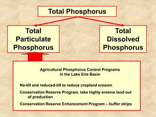 Total Phosphorus

   Total                                         Total
 Particulate                                   Dissolved
Phosphorus                                    Phosphorus


            Agricultural Phosphorus Control Programs
                       in the Lake Erie Basin

 No-till and reduced-till to reduce cropland erosion
 Conservation Reserve Program, take highly erosive land out
    of production
 Conservation Reserve Enhancement Program – buffer strips
 