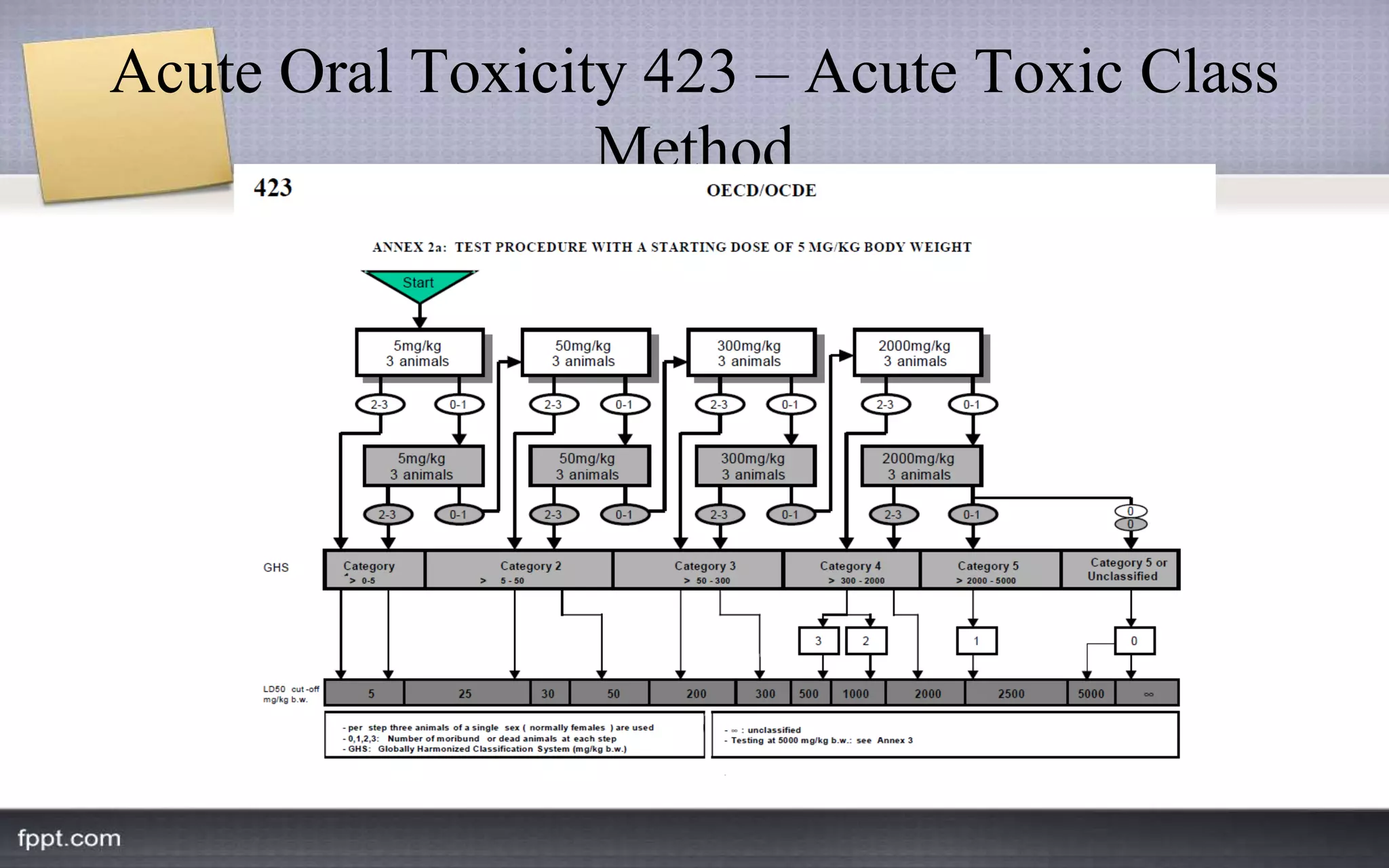 OECD Guidelines | PPTX