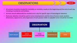 OBSERVATIONS
• All animals should be checked for morbidity or mortality, usually at the beginning and the end of each day,
including at weekends and holidays.
• Animals should additionally be checked once a day for specific signs of toxicological relevance.
• Particular attention should be paid to tumor development; and the time of tumor onset, location,
dimensions, appearance, and progression of each grossly visible or palpable tumor should be recorded.
7
OBSERVATION
BODY WEIGHT
WATER
CONSUMPTION
FOOD
CONSUMPTION
HEAMATOLOGY URINE
 
