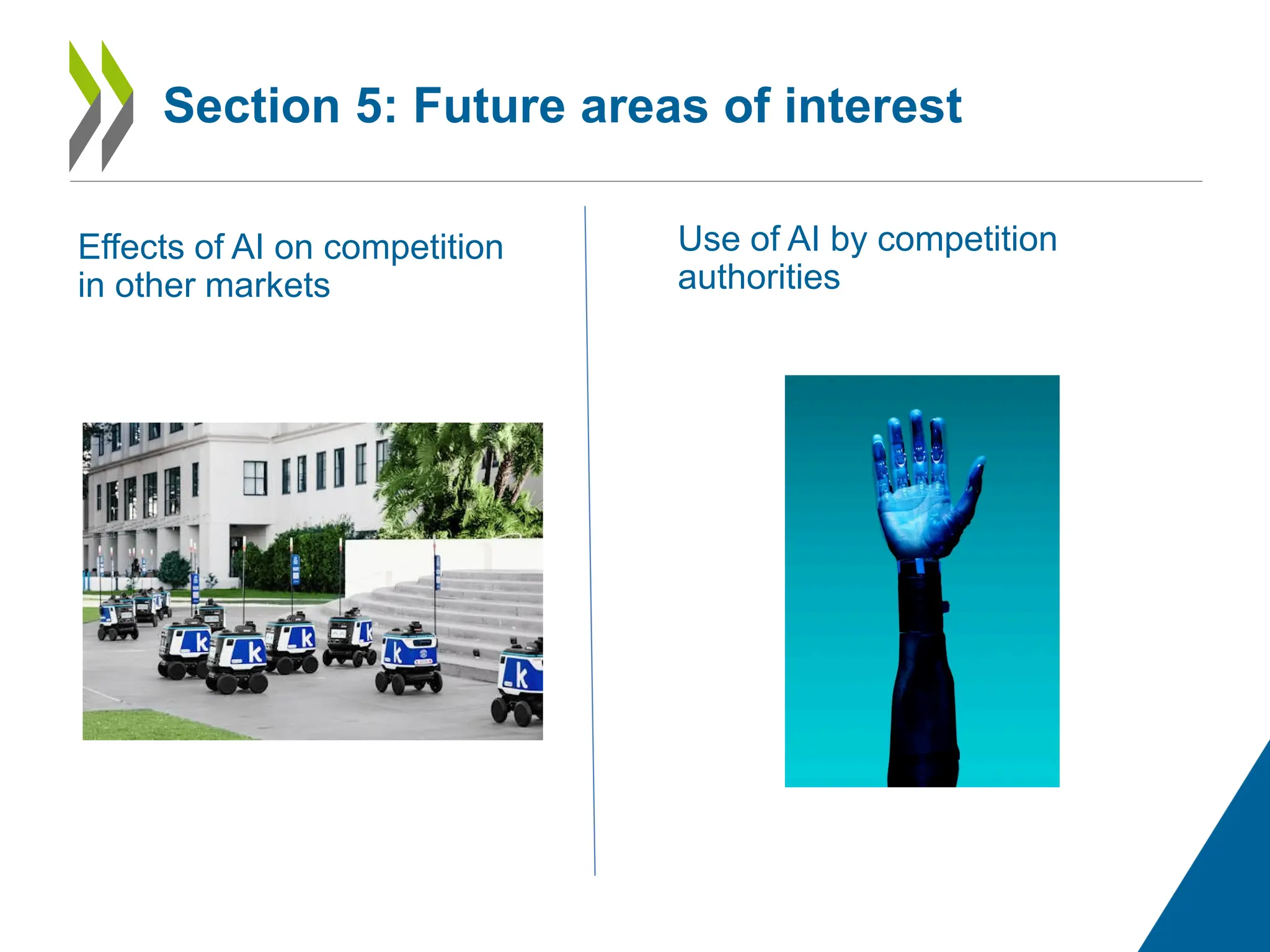 Effects of AI on competition
in other markets
Section 5: Future areas of interest
Use of AI by competition
authorities