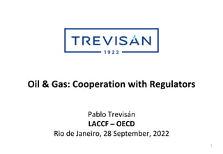 Oil & Gas: Cooperation with Regulators
1
Pablo Trevisán
LACCF – OECD
Rio de Janeiro, 28 September, 2022
 