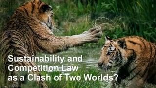 Sustainability and Competition – Gianni De Stefano – December 2020 OECD discussion Slide 2