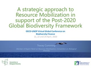 A strategic approach to
Resource Mobilization in
support of the Post-2020
Global Biodiversity Framework
Tracey Cumming
Member of Expert Panel on Resource Mobilisation, Convention on Biological
Diversity
OECD-UNDP Virtual Global Conference on
Biodiversity Finance
15, 22 and 29 April, 2020
 