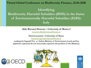 Virtual Global Conference on Biodiversity Finance, 22.04.2020
Identifying
Biodiversity Harmful Subsidies (BHS) in the frame
of Environmentally Harmful Subsidies (EHS):
Italy
Aldo Ravazzi Douvan – University of Roma 2
ravazzi.aldo@minambiente.it
Greti Lucaroni – University of Siena
lucaroni.greti@minambiente.it
working for Sogesid T.A. at Italian Ministry of Environment, Land and Sea
(opinions expressed do not necessarily represent the position of the Ministry)
 