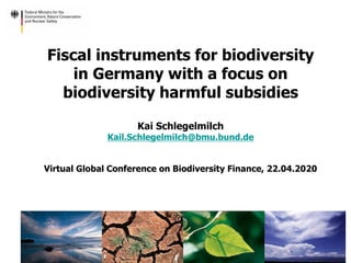Fiscal instruments for biodiversity
in Germany with a focus on
biodiversity harmful subsidies
Kai Schlegelmilch
Kail.Schlegelmilch@bmu.bund.de
Virtual Global Conference on Biodiversity Finance, 22.04.2020
 