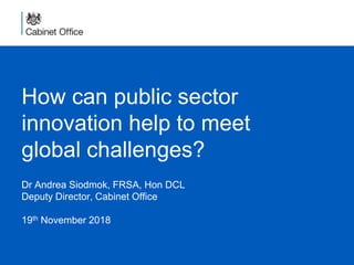 How can public sector
innovation help to meet
global challenges?
Dr Andrea Siodmok, FRSA, Hon DCL
Deputy Director, Cabinet Office
19th November 2018
 