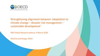 Strengthening alignment between ‘adaptation to
climate change – disaster risk management –
sustainable development’
NAP Global Network webinar, 4 March 2020
Nicolina Lamhauge, OECD
 