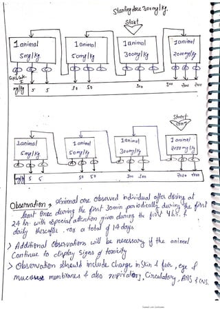 acute oral toxicity  - fixed dose procedure