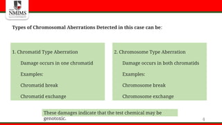 Aberration Test Pattern Comprehensive Overview of OECD 475 Mammalian Bone Marrow Chromosomal ...