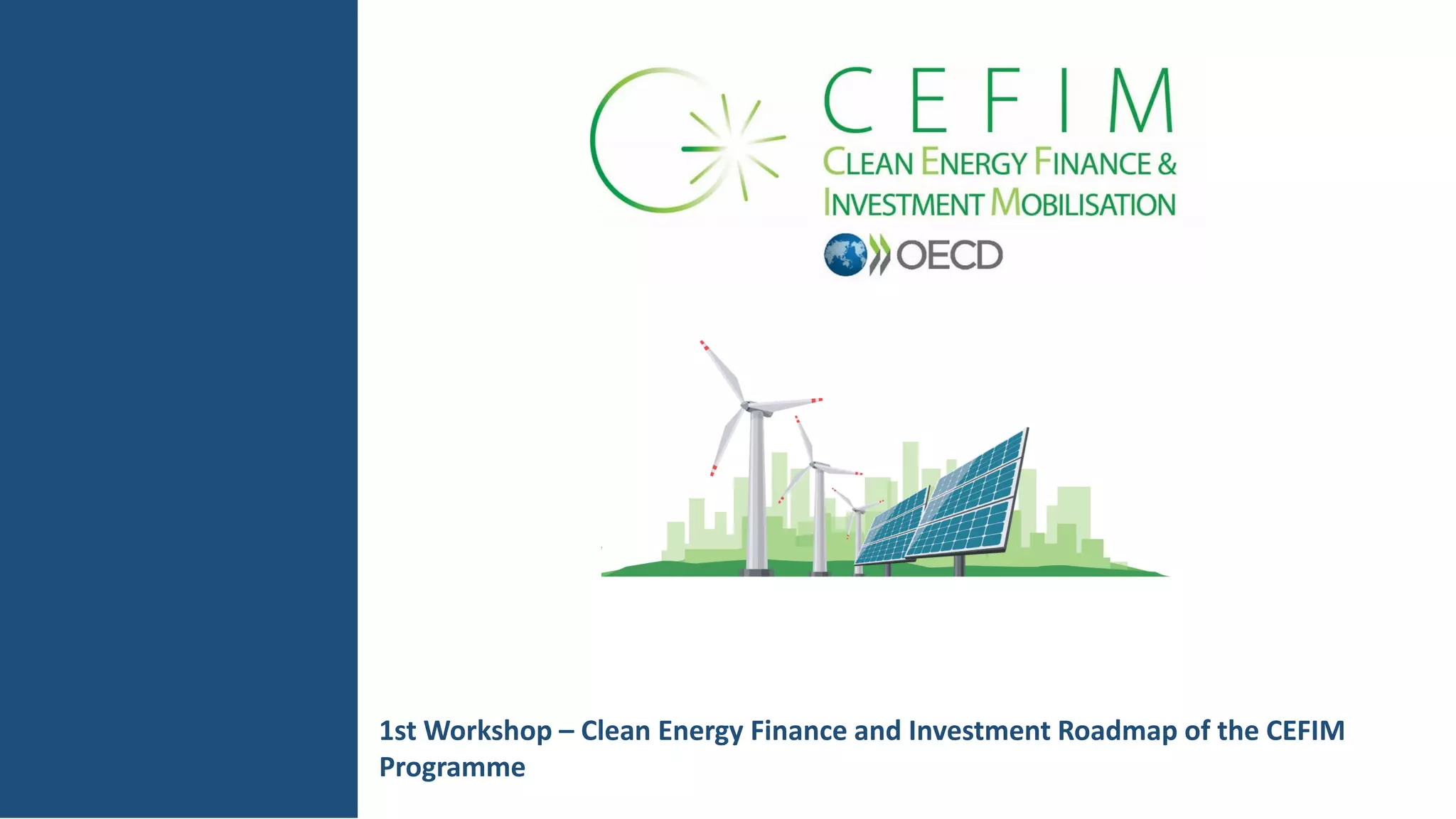Clean Energy Finance and Investment Roadmap of the CEFIM programme ...