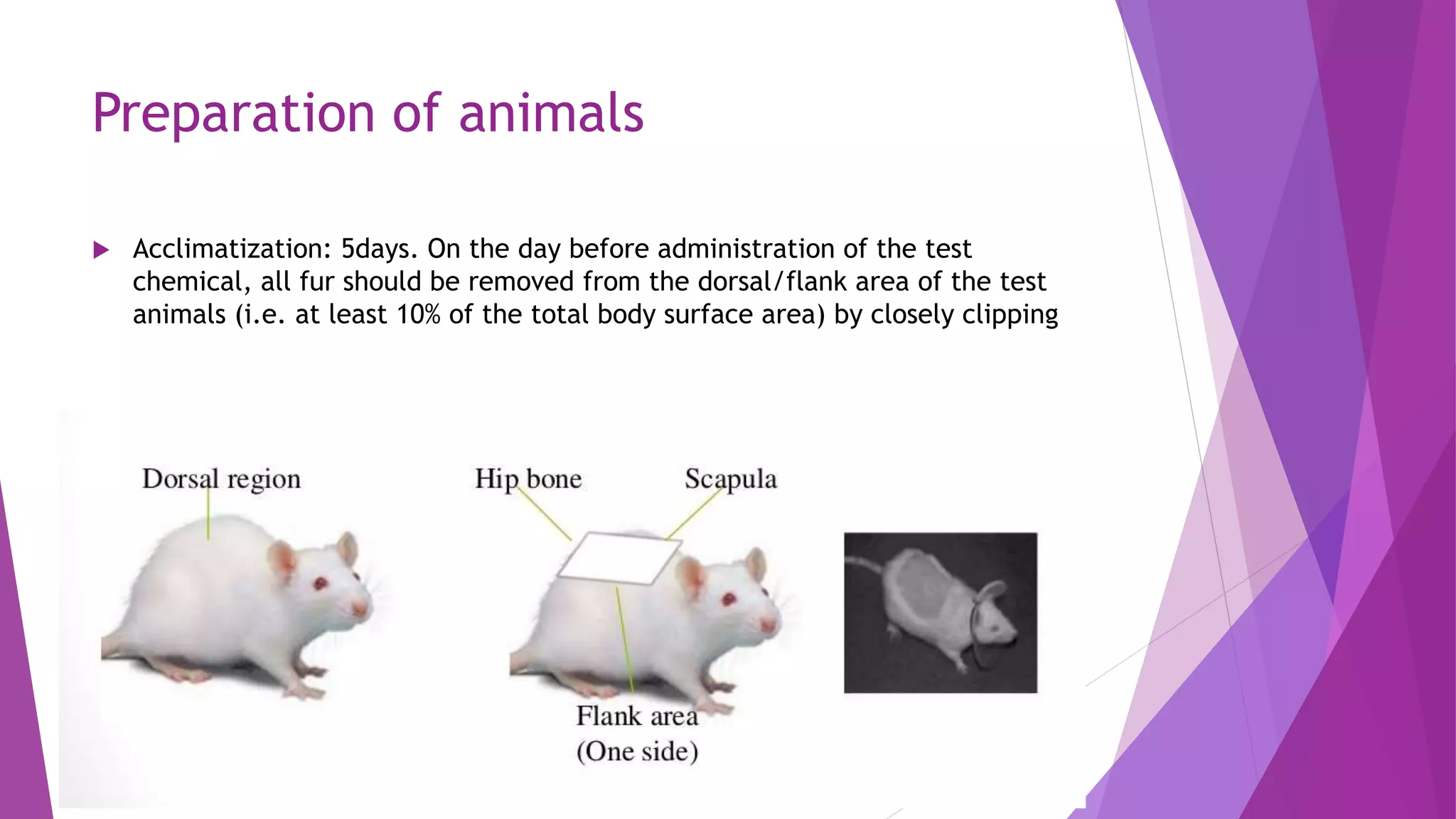 Dermal Dosing Rats OECD Dermal testing By Priya.pptx