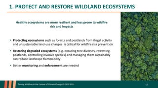 1. PROTECT AND RESTORE WILDLAND ECOSYSTEMS
Taming Wildfires in the Context of Climate Change © OECD 2023 12
• Protecting ecosystems such as forests and peatlands from illegal activity
and unsustainable land-use changes is critical for wildfire risk prevention
• Restoring degraded ecosystems (e.g. ensuring tree diversity, rewetting
peatlands, controlling invasive species) and managing them sustainably
can reduce landscape flammability
• Better monitoring and enforcement are needed
Healthy ecosystems are more resilient and less prone to wildfire
risk and impacts
 