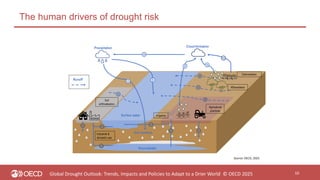 Green Talks LIVE | Adapting to a drier world in a changing climate ...