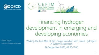 Financing hydrogen
development in emerging and
developing economies
1
Deger Saygin
Industry Programme Lead
Walking the Last Mile of the Energy Transition with Green Hydrogen:
A Systemic Approach
26 September 2023, 09:30-11:00
 