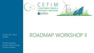 ROADMAP WORKSHOP II
1
Cecilia Tam, Team
Leader
Chetna Hareesh
Kumar, Clean Energy
Finance Analyst
 