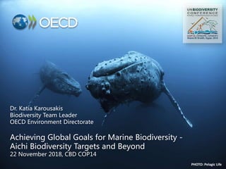 Dr. Katia Karousakis
Biodiversity Team Leader
OECD Environment Directorate
Achieving Global Goals for Marine Biodiversity -
Aichi Biodiversity Targets and Beyond
22 November 2018, CBD COP14
PHOTO: Pelagic Life
 