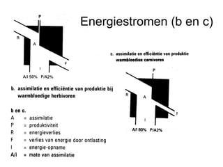 Energiestromen (b en c) 