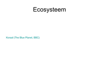 Ecosysteem Koraal (The Blue  Planet , BBC) 