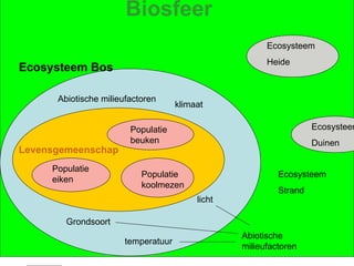 Biosfeer Ecosysteem Bos Levensgemeenschap Ecosysteem Heide Ecosysteem Duinen Populatie eiken Populatie koolmezen Populatie beuken Ecosysteem Strand Grondsoort  temperatuur licht klimaat Abiotische milieufactoren Abiotische milieufactoren 