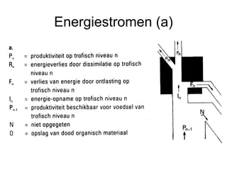 Energiestromen (a) 