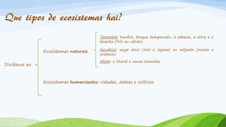 Que tipos de ecosistemas hai?
Divídense en
Ecosistemas naturais
Ecosistemas humanizados: cidades, aldeas e cultivos.
Terrestre: tundra, bosque temperado, a sabana, a selva e o
deserto (frío ou cálido).
Acuático: auga doce (ríos e lagoas) ou salgada (mares e
océanos).
Mixto: o litoral e zonas húmidas
 