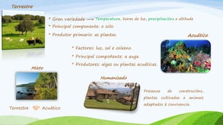 Terrestre
* Gran variedade Temperatura, horas de luz, precipitacións e altitude
* Principal componente: o solo.
* Produtor primario: as plantas. Acuático
* Factores: luz, sal e osíxeno.
* Principal compoñente: a auga.
* Produtores: algas ou plantas acuáticas.
Mixto
Terrestre Acuático
Humanizado
Presenza de construcións,
plantas cultivadas e animais
adaptados á convivencia.
 