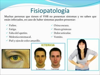 Fisiopatología
Muchas personas que tienen el VHB no presentan síntomas y no saben que
están infectados, en caso de haber síntomas pueden presentar:
 