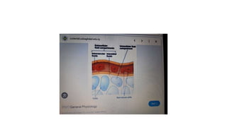 Oedema_types_causes_pathophysiology.pptx