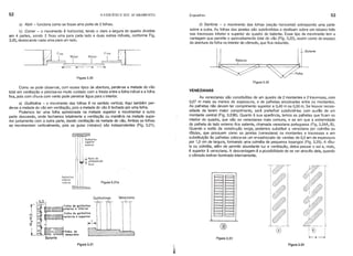 52 o EDIFÍCIO E SEU ACABAMENTO Esquadrias 53
a) Abrir - funciona como se fosse uma porta de 2 folhas.
b) Correr - o movimento é horizontal, tendo o claro a largura do quadro dividida
em 4 partes, sendo 2 fixas uma para çada lado e duas outras móveis, conforme Fig.
3.20, deslocando cada uma para um lado.
d) Sanfona - o movimento das folhas (seção horizontal) sobrepondo uma parte
sobre a outra. As folhas das janelas são subdivididas e deslisam sobre um rebaixo feito
nas travessas inferior e superior do quadro do batente. Esse tipo de movimento tem a
vantagem que permite o aproveitamento total do vão (Fig. 3.22), assim como do espaço
da abertura da folha no interior do cômodo, que fica reduzido.
~[;jJ F1ixa Móvel Móvel Fila fíl. I
~~~~-~L
---
Figura 3.20
Batente
Rebaixo
Figura 3.22
~
: : Guilhotino
i I superior
: I exterior
I I
I I
I I
I I
lli
I ,__ ..J.. Porte de. _
I Justo pos'çoo
I 6cm
®
VENEZIANAS
Figura 3.2a
As venezianas são constiturdas de um quadro de 2 montantes e 2 travessas, com
0,07 m mais ou menos de espessura, e de palhetas encaixadas entre os montantes.
As palhetas não devem ter comprimento superior a 0,40 m ou 0,50 m. Se houver neces-
sidade de terem maior comprimento, serã preferrvel subdividi-Ias com auxOio de um
montante central (Fig. 3.23B). Quanto à sua aparência, temos as palhetas que ficam no
interior do quadro, que são as venezianas mais comuns, e as em que a extremidade
da palheta do lado externo fica saliente, chamada veneziana portuguesa (Fig. 3.24A, B).
Quando o estilo da construção exige, podemos substituir a veneziana por colméia ou
rótulas, que possuem como as janelas (veneziana) os montantes e travessas e em
substituição às palhetas coloca-se um enxadrezado de varetas de 0,5 om de espessura
por 1,0 cm de largura, formando uma colméia de pequenos losangos (Fig. 3.25). A rótu-
la ou colméia, além de permitir abundante luz e ventilação, deixa passar o sol e, nisto,
é superior à veneziana. A desvantagem é a possibilidade de se ver através dela, quando
o cômodo estiver iluminado internamente.
Veneziana
Figura 3.21 a
Guilhotinas
Guilhotino
inferior
interior
Como se pode observar, com esses tipos de abertura, perde-se a metade do vão
total em ventilação e precisa-se muito cuidado com a fresta entre a folha móvel e a folha
fixa, pois com chuva com vento pode penetrar ãgua para o interior.
a) Guilhotina - o movimento das folhas é no sentido vertical. Aqui também per-
de-se a metade do vão em ventilação, pois a metade do vão é fechado por uma folha.
Podemos ter uma folha aprisionada na metade superior e movimentar a outra
parte descendo, onde fechamos totalmente a ventilação ou mantê-Ia na metade supe-
rior juntamente com a outra parte, dando ventilação da metade do vão. Ambas as folhas
se movimentam verticalmente, pois as guias (rebaixo) são independentes (Fig. 3.21).
Figura 3.21 Figura 3.24
 