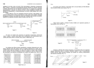 120 o EDIFÍCIO E SEU ACABAMENTO Forro 121
Um recurso para melhorar a decoração será o de usar tabeira em nrvel diferente
dos do campo central, como mostra a Fig. 7.5.
recebiam de um lado o piso e do outro o forro, aproveitando o vigamento e tarugamento
Qnlco. Quando o vigamento é propositalmente deixado aparente em cômodos principais
e amplos, denomina-se forro de vigamento aparente (Fig. 7.1), exigindo que o vigamento
.seja aparelhado e colocado com esmero, de modo a manter paralelismo e idêntico afas-
tamento. Os tarugamentos e contraventamentos, se houver, serão tratados com o mes-
mo cuidado. ...•
O forro (tábuas) precisa ser aparelhado pela face que ficar a vista (inferior), com
pequena moldura junto à ranhura para disfarçar a junta, assim como também colocação
de pequenas molduras nas arestas das vigas com o taboado; para esconder as paredes
poderá ter os' seguintes arremates: tabeira, cimalha e aba (Fig. 7.2). Cimalha
I I
'~ Forro
Venti loção
Tabeiro

I
Forro
Figura 7.5
Os forros de madeira são compostos de vigamento, tarugamento, contra venta-
mento e tábuas; e cjuando estas tábuas eram sobrepostas, eram denominadas saia e
camisa, não tendo rebaixo e encaixe, isto é, macho e fêmea (Fi,g. 7.3).
Outro recurso quando o cômodo é amplo, dividido com vigamento aparente, é
fazer painéis como o da Fig. 7.6.
Tábuas
)z~Z2Z7Zkzz//ZZ7~ZZ7~ Aba
m-Vigas ~ tordóes
Parede
Figura 7.1
Cimalha
Figura 7.2
Tabeira
-
-
Viga
-
-
Viga
Figura 7.3
Figur.a 7.6
Aba
Viga
Figura 7.4a, b, c, d
Tesoura
Figura 7.7
Cima lha
Quando os cômodos são de áreas pequenas, a sustentação é feita com vigamento
apoiado diretamente sobre as paredes; entretanto quando a área é razoavelmente
grande, deve-se utilizar tesouras apoiadas nas paredes de contorno, independentes
das tesouras do telhado. (Fig. 7.7).
As camiSâ.~eram tábuas apenas aparelhadas e pregadas diretamente sob o viga-
mento, deixando eiltre elas espaço vazio; em seguida, pregavam-se as saias, que na
verdade faziam papel de mata-junta. As saias eram sempre de largura mais reduzidas
que as camisas. Os forros de tábuas de ranhura e lingüeta, ou macho e fêmea, podem
ser executados com desenhos semelhantes aos usados nos soalhos (Fig. 7.4a, b, c, d).
 