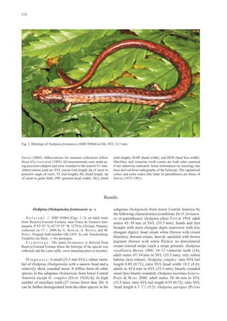 Oedipina fortunensis sp. nov. köhler et al. 2007 PDF