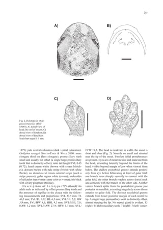Oedipina fortunensis sp. nov. köhler et al. 2007 PDF