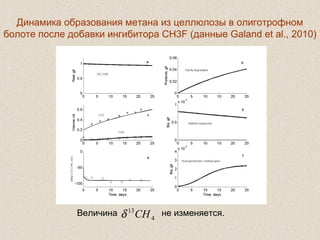  
Динамика образования метана из целлюлозы в олиготрофном
болоте после добавки ингибитора CH3F (данные Galand et al., 2010)
Величина не изменяется.4
13
CHδ
 