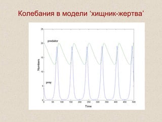 Колебания в модели ‘хищник-жертва’
 