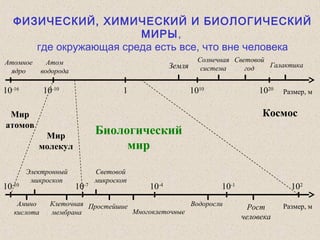 ФИЗИЧЕСКИЙ, ХИМИЧЕСКИЙ И БИОЛОГИЧЕСКИЙ
МИРЫ,
где окружающая среда есть все, что вне человека
Размер, м10-16
Атомное
ядро
Атом
водорода
10-10
1 1010
1020
Земля
Солнечная
система
Световой
год
Размер, м
10-10
Амино
кислота
Космос
10-7
10-4
10-1
ПростейшиеКлеточная
мембрана
Водоросли
Галактика
102
Мир
атомов
Мир
молекул
Биологический
мир
Многоклеточные
Рост
человека
Электронный
микроскоп
Световой
микроскоп
 