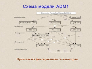 Схема модели ADM1
 
10%
30% Inerts 10%
30% 30%
30% Proteins 30% Lipids 30%
1% 29%
MS 31% AA 30% LCFA 29%
13% 16% 2%
29% 12% 20% 9%
20%
12% 6%
9%
Acetic 64% H2 26%
90%
Carbohydrates
HPr, HBu, HVa
CH4
Composite Particulate Material (100%)
Disintegration
Hydrolysis
Acidogenesis
Acetogenesis
Methanogenesis
Применяется фиксированная стехиометрия
 