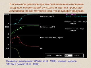 В проточном реакторе при высокой величине отношения
входящих концентраций сульфата и ацетата происходит
ингибирование как метаногенеза, так и сульфат-редукции
Символы: эксперимент (Parkin et al., 1990), кривые: модель
‘МЕТАН’ (Vavilin et al., 1994)
 