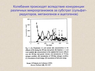 Колебания происходят вследствие конкуренции
различных микроорганизмов за субстрат (сульфат-
редукторов, метаногенов и ацетогенов)
 