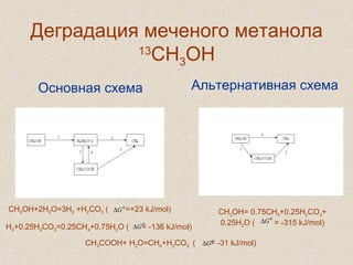 Деградация меченого метанола
13
CH3OH
Основная схема Альтернативная схема
CH3OH+2H2O=3H2 +H2CO3 ( =+23 kJ/mol)
H2+0.25H2CO3=0.25CH4+0.75H2O ( = -136 kJ/mol)
'0
G∆
'0
G∆
CH3OH= 0.75CH4+0.25H2CO3+
0.25H2O ( = -315 kJ/mol)
'0
G∆
CH3COOH+ H2O=CH4+H2CO3 ( = -31 kJ/mol)'0
G∆
 