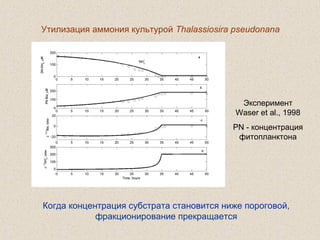 Утилизация аммония культурой Thalassiosira pseudonana
Эксперимент
Waser et al., 1998
PN - концентрация
фитопланктона
Когда концентрация субстрата становится ниже пороговой,
фракционирование прекращается
 