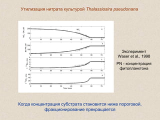 Утилизация нитрата культурой Thalassiosira pseudonana
Эксперимент
Waser et al., 1998
PN - концентрация
фитопланктона
Когда концентрация субстрата становится ниже пороговой,
фракционирование прекращается
 