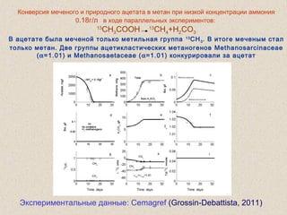 Конверсия меченого и природного ацетата в метан при низкой концентрации аммония
0.18г/л в ходе параллельных экспериментов:
13
CH3COOH 13
CH4+H2CO3
В ацетате была меченой только метильная группа 13
CH3. В итоге меченым стал
только метан. Две группы ацетикластических метаногенов Methanosarcinaceae
(α=1.01) и Methanosaetaceae (α=1.01) конкурировали за ацетат
Экспериментальные данные: Cemagref (Grossin-Debattista, 2011)
 