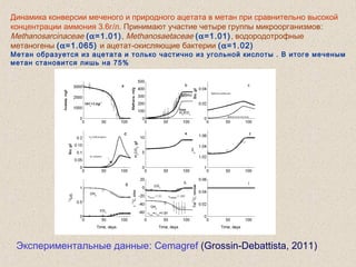 Динамика конверсии меченого и природного ацетата в метан при сравнительно высокой
концентрации аммония 3.6г/л. Принимают участие четыре группы микроорганизмов:
Methanosarcinaceae (α=1.01), Methanosaetaceae (α=1.01), водородотрофные
метаногены (α=1.065) и ацетат-окисляющие бактерии (α=1.02)
Метан образуется из ацетата и только частично из угольной кислоты . В итоге меченым
метан становится лишь на 75%
Экспериментальные данные: Cemagref (Grossin-Debattista, 2011)
 