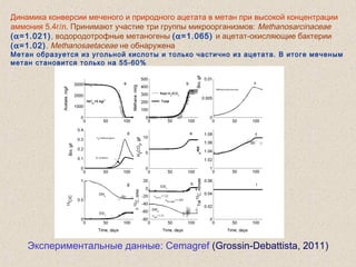 Динамика конверсии меченого и природного ацетата в метан при высокой концентрации
аммония 5.4г/л. Принимают участие три группы микроорганизмов: Methanosarcinaceae
(α=1.021), водородотрофные метаногены (α=1.065) и ацетат-окисляющие бактерии
(α=1.02). Methanosaetaceae не обнаружена
Метан образуется из угольной кислоты и только частично из ацетата. В итоге меченым
метан становится только на 55-60%
Экспериментальные данные: Cemagref (Grossin-Debattista, 2011)
 