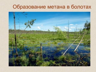 Образование метана в болотах
 
