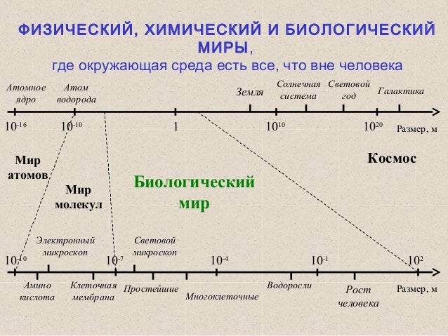 Глобальное Глобальное
