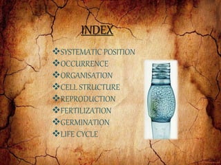 INDEX
SYSTEMATIC POSITION
OCCURRENCE
ORGANISATION
CELL STRUCTURE
REPRODUCTION
FERTILIZATION
GERMINATION
LIFE CYCLE
 