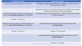 Macrandrous Species Nannandrous Species
Antheridia develops on the filaments of normal size Male filament which develop Antheridia are smaller than female filament on
which oogonium is develop
Antheridia develop on 2-4 celled filament known as Dwarf Male (these filament
develop from Androspores inside androsporangia)
Antheridia and Oogonia develop on same filament are
known as Macrandrous Monoecious or Homothallic
Nannandrous species are always Dioecious i.e. Antheridia and Oogonia develop
on different filaments
Example: O. nodulosum
Antheridia and Oogonia develop on different filament are
known as Macrandrous Dioecious or Heterothallic
Androsporangia and Oogonia develop on same filament are called
Gynandrosporous
Example: O. aquaticum Example: O. concatenatum
Androsporangia and Oogonia develop on different filaments are called
Idioandrosporous
Example: O. conferatum
DR. SAURABH KUMAR, HOD BOTANY KCMT
 